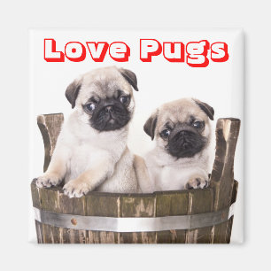 Love Pugs Puppy Dogs in Wooden Barrel Crate Magnet Magneet