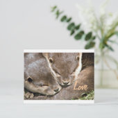 Love Quote - Otters Briefkaart (Staand voorkant)