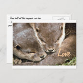 Love Quote - Otters Briefkaart (Voorkant / Achterkant)