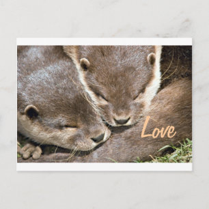 Love Quote - Otters Briefkaart