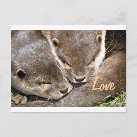 Love Quote - Otters Briefkaart (Voorkant)
