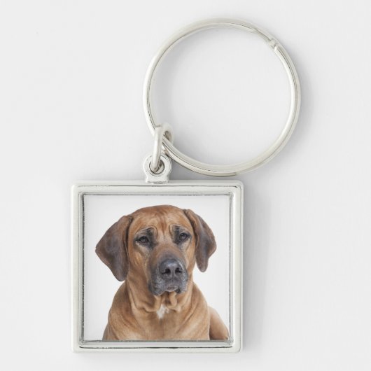 Love Rhodesian Ridgeback Puppy Dog Sleutelhanger (Voorkant)
