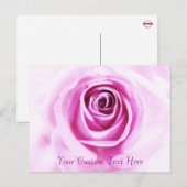 Love Rose Rose Texte personnalisé Carte postale (Devant / Derrière)