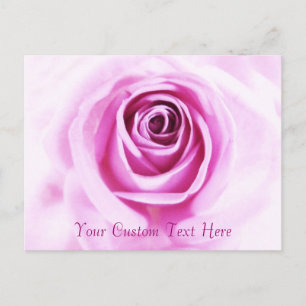 Love Rose Rose Texte personnalisé Carte postale