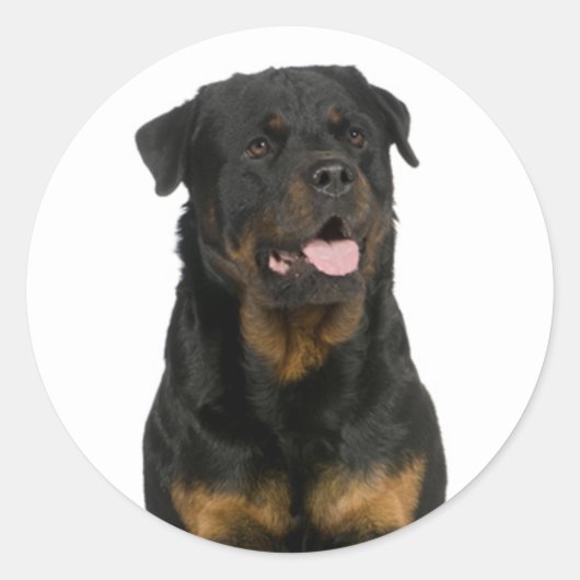 Love Rottweiler Puppy Dog Sticker / Seal (Voorkant)
