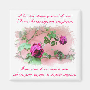 Love & Rozen Magnet Magneet
