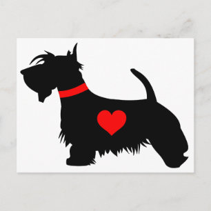 Love scottie chien carte postale