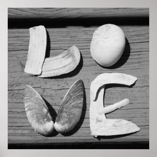 LOVE Shell Poster noir et blanc