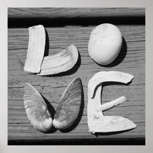 LOVE Shell Poster noir et blanc (Devant)