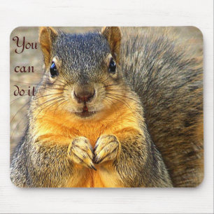 Love Squirrel_ Muismat