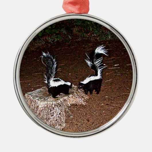 Love Stinks Metalen Ornament (Voorkant)