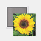 Love Sunflowers Magnet (Recto/Verso)