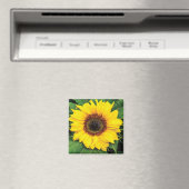 Love Sunflowers Magnet (In Situ (Lave-vaisselle))