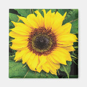 Love Sunflowers Magnet (Devant)