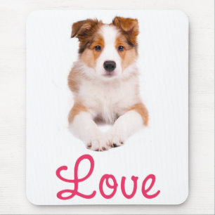 Love Tan & Witte Border Collie Puppy Hond Muismatj Muismat