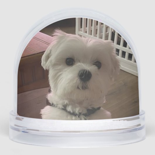 Love them both (Avant)