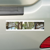 LOVE, uitgesneden door bomen Bumpersticker (Op auto)