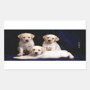 Love White Labrador Retriever Puppy Dog Stickers