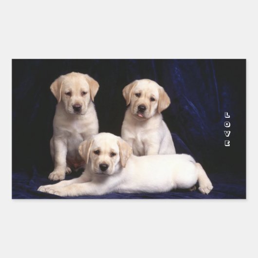 Love White Labrador Retriever Stickers Chien Chien (Devant)