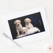 Love White Labrador Retriever Stickers Chien Chien (Enveloppe)