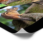 Love Wildlife Cute Animals Poster (Hoek)