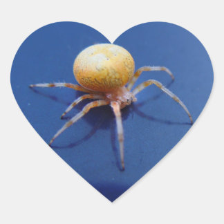 Love Wildlife Stickers - Oranje Orb Spinner Spider