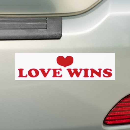 Love Wins - Fight Racism & Prejudice Bumpersticker (Op auto)