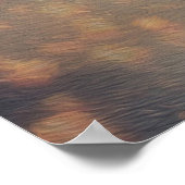 Love Wish Lantern Poster (Hoek)