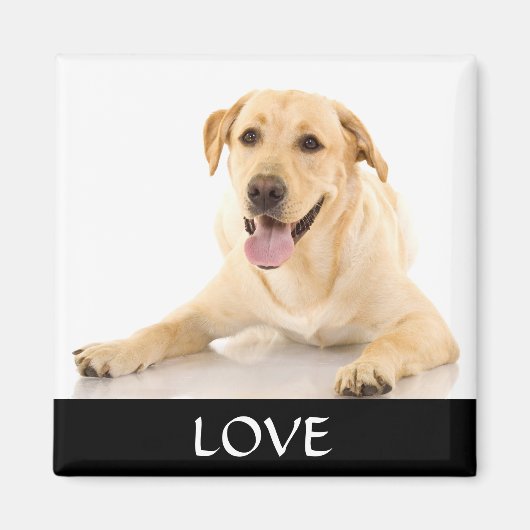 Love Yellow Labrador Retreiver Magnet (Devant)
