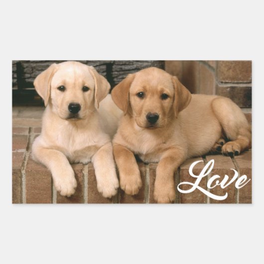 Love Yellow Labrador Retriever Puppies Sticker (Devant)