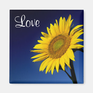 Love Yellow Sunflower with Blue Sky Magnet Magneet