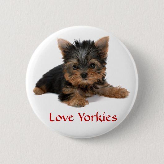 Love Yorkies Puppy Button Pin (Voorkant)