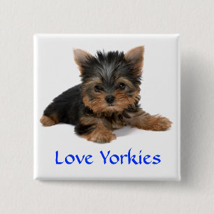 Love Yorkies Puppy Button Pin