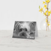 Love Yorkshire Terrier Chien Chien Puppy Carte bla (Fleur jaune)