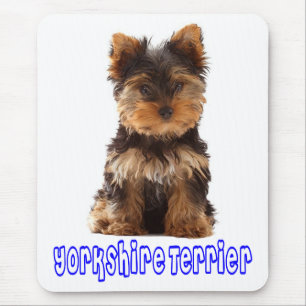 Love Yorkshire Terrier Puppie Hond Muismat