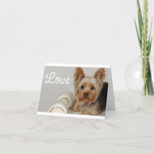 Love Yorkshire Terrier Puppy Dog Blank Card Kaart