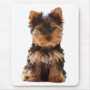 Love Yorkshire Terrier Puppymuismat Muismat