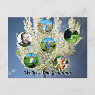 Love You Grandma White Blossoming Tree Six Photos  Briefkaart