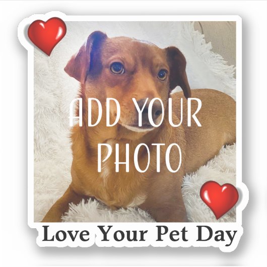Love Your Pet Day Sticker (Voorkant)