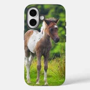 Loveable Standing Dartmoor Pony Foal iPhone 16 Hoesje