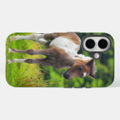 Loveable Standing Dartmoor Pony Foal Case-Mate iPhone Case (Achterkant (horizontaal))