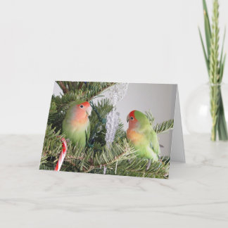 Lovebird Christmas Kaart