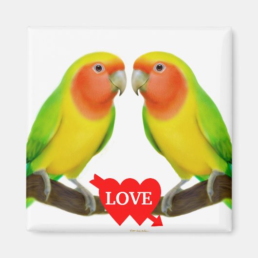 Lovebird Love Magnet Magneet (Voorkant)
