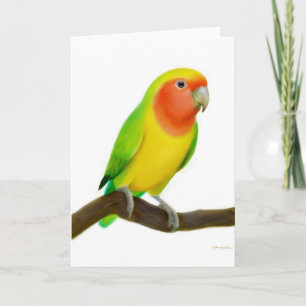 Lovebird-Wenskaart Kaart
