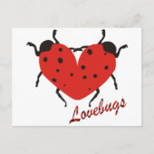 Lovebugs Briefkaart (Voorkant)