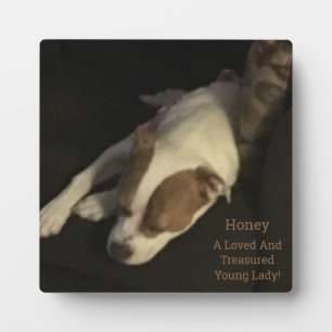 Loved and Treasured, Pet Photo Typography Fotoplaat