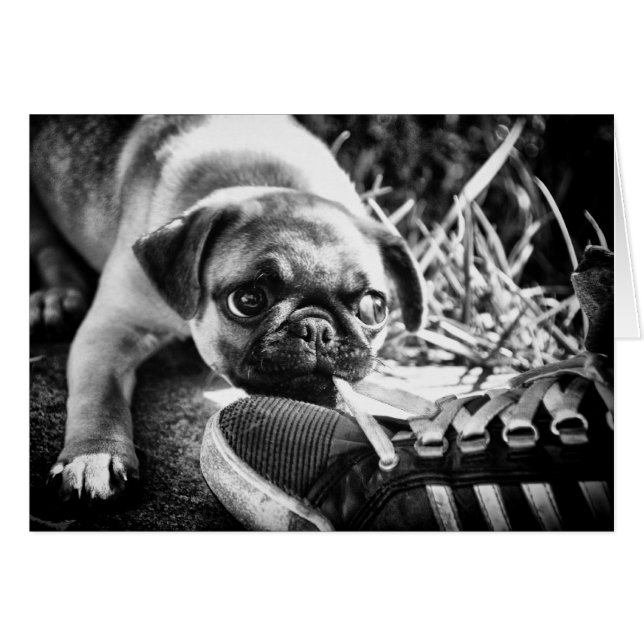 Lovely afspelen Mops (Voorkant Horizontaal)