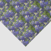 Lovely Blue Spring Bluebonnet Texas State Flower Tissuepapier (Detail)