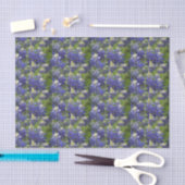 Lovely Blue Spring Bluebonnet Texas State Flower Tissuepapier (Craft)