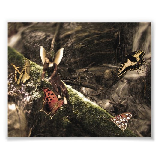 Lovely Butterfly Natuur Fairy Foto Afdruk (Voorkant)